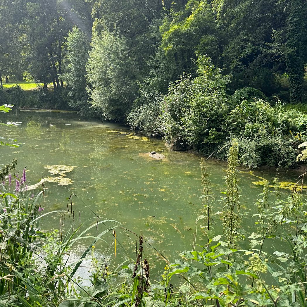 Aire de jeux du parc du Morbras 3